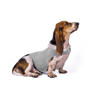 Calming Anxiety Vest for Dogs & Cats