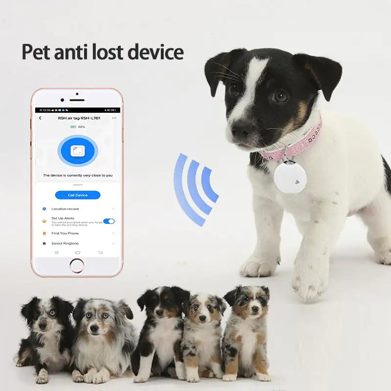 Bluetooth pet finder tag, product photo