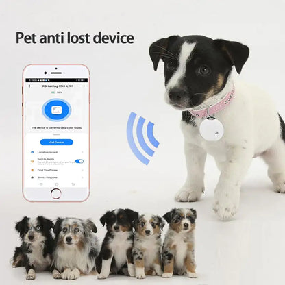 Bluetooth pet finder tag, product photo