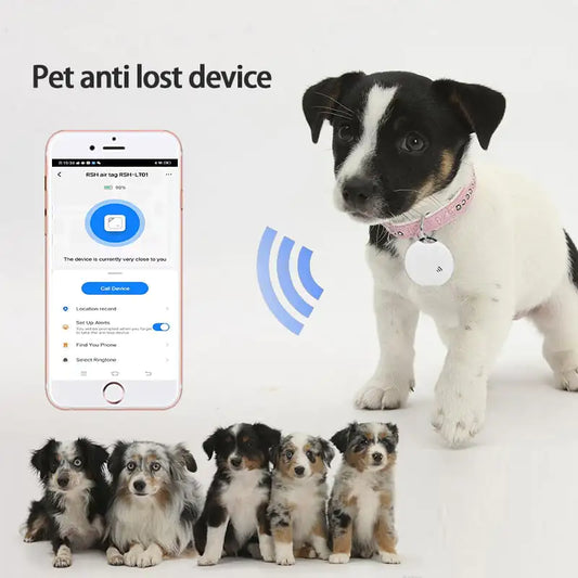 Bluetooth pet finder tag, product photo