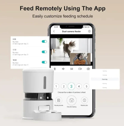Pet feeder in a home setting