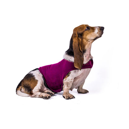 Calming Anxiety Vest for Dogs & Cats
