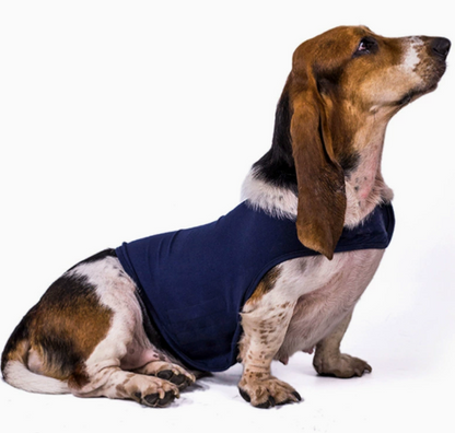Calming Anxiety Vest for Dogs & Cats